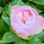 Susan Randel - @susanrandel - Instagram