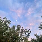 Dr. susan rasheed - @susanrasheed_ - Instagram