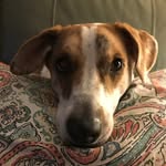 Susan Rash - @susanrash63 - Instagram