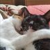 Susan Ratcliffe - Facebook