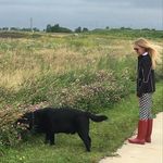 susan ratcliffe - @susan.ratcliffe - Instagram