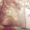 Susan Ratcliffe - @susan.ratcliffe8 - TikTok