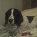 Susan Ratcliffe - Facebook