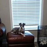 Susan Williams Rawls - @rawlssusan - Instagram