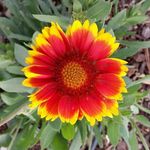 Susan Rayburn - @srayburn - Instagram