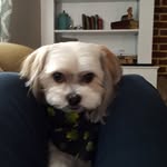 Susan Rayfield - @susanjean810 - Instagram