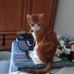 Susan Ready - Facebook
