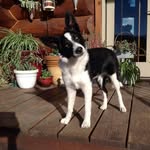 Susan Ready Revack - @revacksusan - Instagram