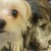 Susan Reams - Facebook