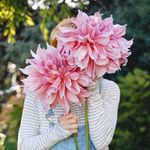 Susan Reams 🌸 - @suereams - Instagram