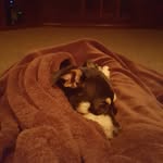 Susan Idiaquez Reckert - @reckertsusan - Instagram