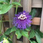Susan Rector Barkin - @susanbarkin843 - Instagram