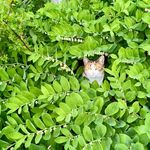Susan Rector Trask - @susanmtrask - Instagram