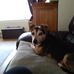 Sue Redfern - Facebook