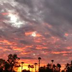 Susan Redfern - @redfern5367 - Instagram