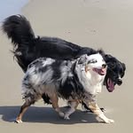 Susan Redpath - @susan__redpath - Instagram