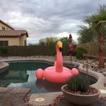 Susan Reiser - @reiser_susan - Instagram
