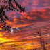 Susan Reiser - Facebook