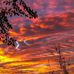 Susan Reiser - Facebook