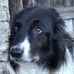 Susanne Reiser - Facebook