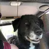 Susan Nenninger - @susannenninger - TikTok