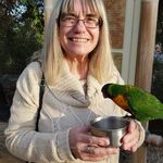 Susan Replogle - @susanreplogle - Instagram