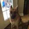suzannereplogle - @suzannereplogle - TikTok