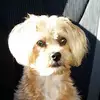 susanreppucci - @susanreppucci - TikTok
