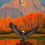 Susan Rider - @rider9278 - Instagram