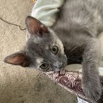 Susan Ried - @riedsusan2 - Instagram