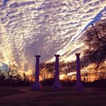 Susan Rigg Woodard - @susanrigg.woodard - Instagram