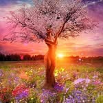 Susan Righter - @susan.r78 - Instagram