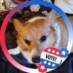 Susan Ripplinger - @bullseye674 - Instagram