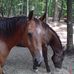 Susan Rittenberry - Facebook