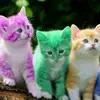 Susan Roberson561 - @susanroberson561 - TikTok