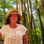 Susan Roberson - @susan.roberson.33 - Instagram