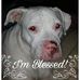 Susan Roberson - Facebook
