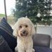 Susan Batt Roddan - Facebook