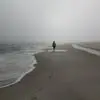 Susan Geving Roen - @susan.geving.roen - TikTok