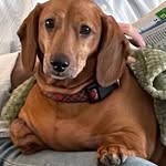 Susan Roenbeck - @susanroenbeck - Instagram
