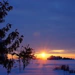 Susan Roetman - @mcdonas1957 - Instagram