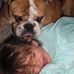 Susan Marie Krogol Rogalski - Facebook