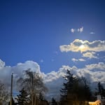 Susan Rogerson - @smrogerson - Instagram