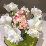 Susan Rogerson - @susierogo - Instagram