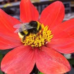 Susan Rolls - @rolls5327 - Instagram
