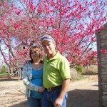 Susan Rominger - @susuminger - Instagram