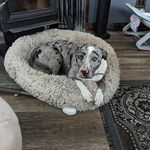 Susan Romo-Ell - @ginger_chaos - Instagram