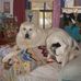 Susan Roos - Facebook