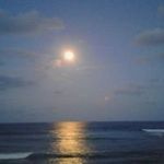 Susan Roos - @susan.roos.714 - Instagram