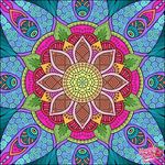 Susan Rowe - @susan.rowe.737 - Instagram
